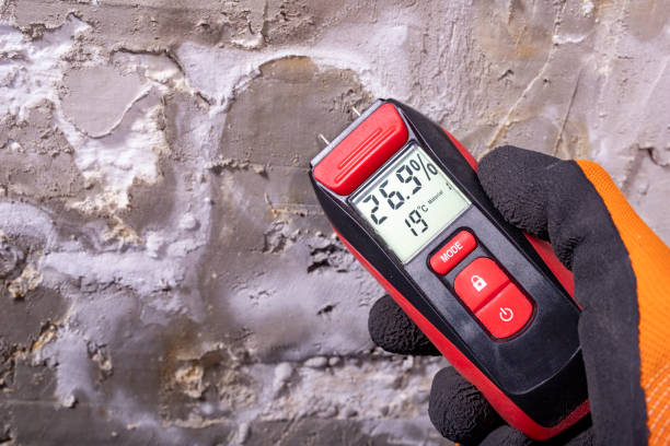 Best Emergency Mold Remediation in Greenville, IN
